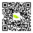 校招网申二维码.png